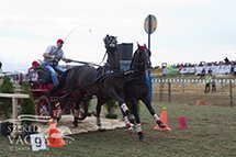 Szőcs Lehel a câştigat concursul de atelaje