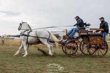 Pályázat lovas kísérőprogramokra