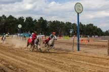 Huszonnyolc jelentkező a Székely Vágtán