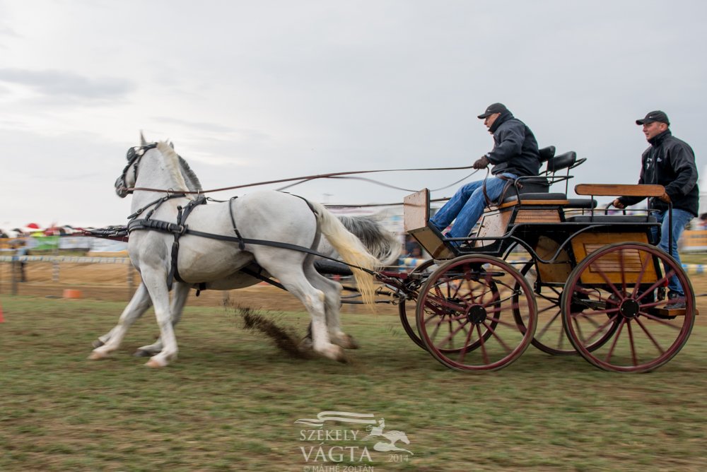 Pályázat lovas kísérőprogramokra 2015