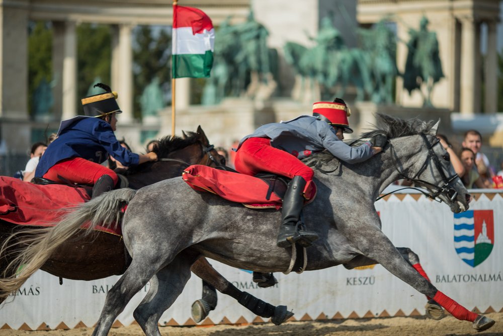 Nemzeti Vágta: két székely lovas a középdöntőben 2015