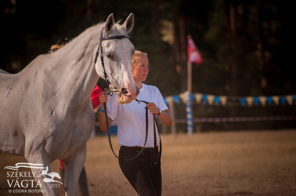 Premiul „Armăsarul de Aur” la Galopiada Secuiască